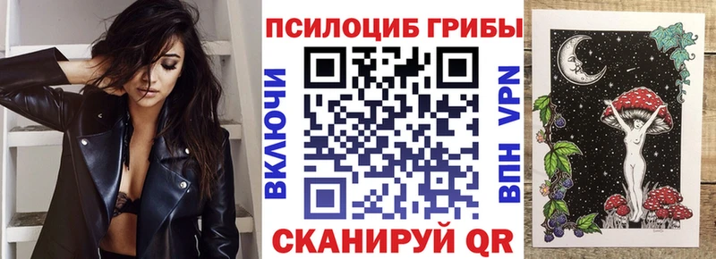 купить закладку  Кимры  Псилоцибиновые грибы прущие грибы 