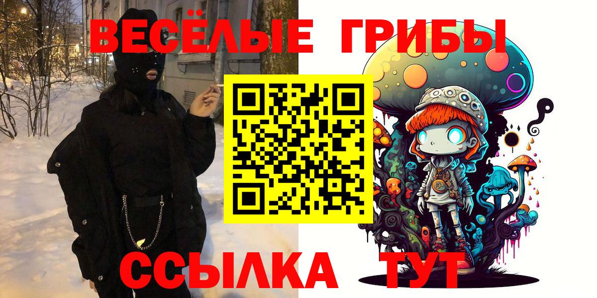 Кимры  Псилоцибиновые грибы мухоморы  Вход с VPN 